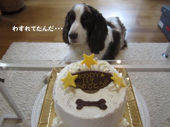 忘れてたんだ