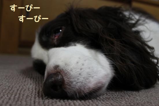1月26日