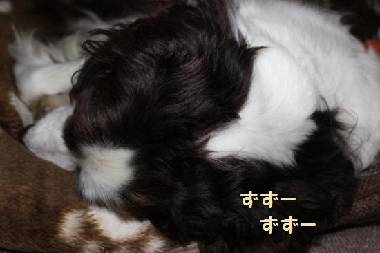 1月26日-1