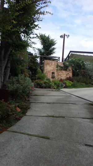 DCIM0010_convert_20121010010034.jpg