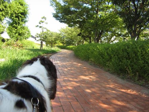 IMG_0715_convert_20120915114136.jpg