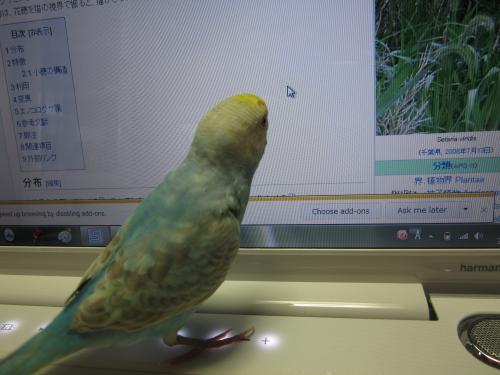 IMG_0777_convert_20120926223151.jpg