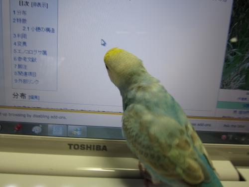IMG_0780_convert_20120926223047.jpg