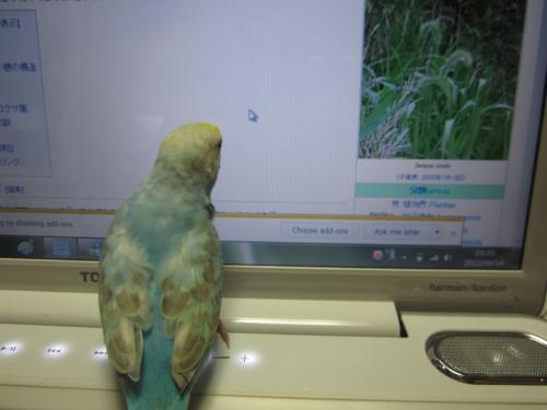 IMG_0781_convert_20120926223004.jpg
