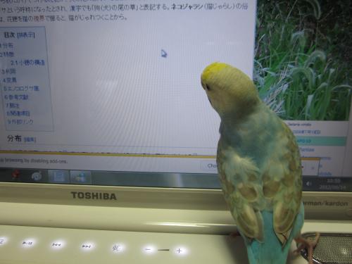 IMG_0782_convert_20120926222924.jpg
