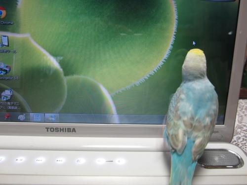 IMG_0788_convert_20120926222813.jpg