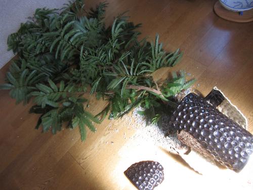 IMG_0856_convert_20120920002633.jpg