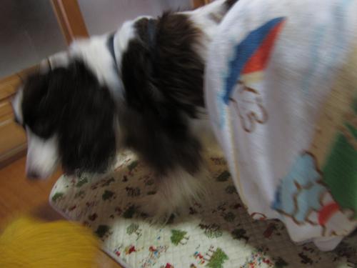 IMG_0896_convert_20120918130102.jpg