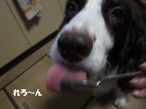 IMG_1124_convert_20120923122652.jpg