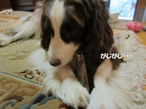 IMG_1272_convert_20121004235753.jpg