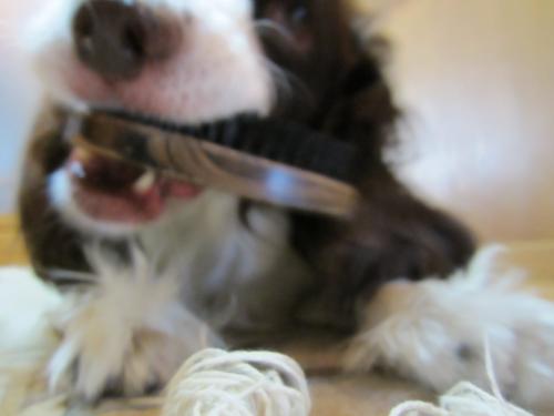IMG_1286_convert_20121005000448.jpg
