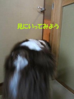 IMG_1397_convert_20121017095125.jpg