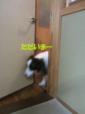 IMG_1398_convert_20121017095212.jpg