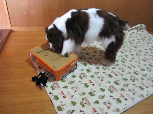 IMG_1402_convert_20121012122557.jpg