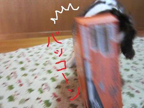 IMG_1403_convert_20121012122621.jpg