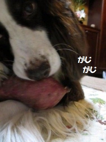 IMG_1711_convert_20121019030955.jpg