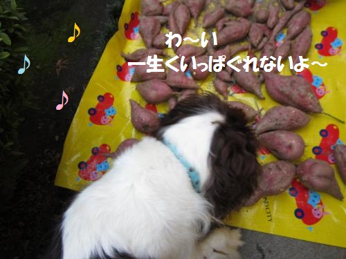 IMG_1798_convert_20121025104741.jpg