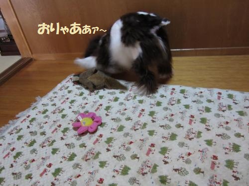 IMG_1802_convert_20121025105122.jpg