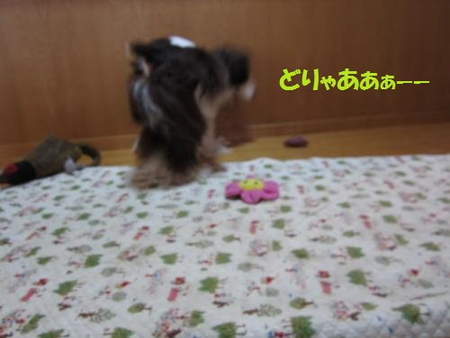IMG_1807_convert_20121025105044.jpg