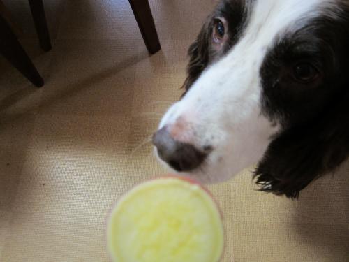 IMG_1828_convert_20121025105527.jpg