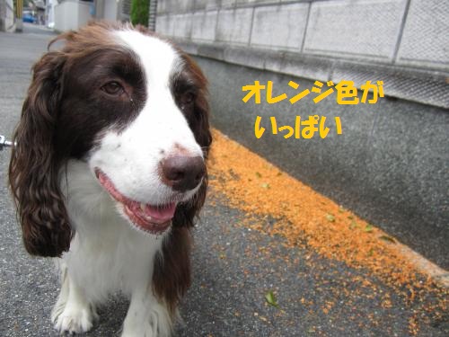 IMG_1908_convert_20121030005328.jpg