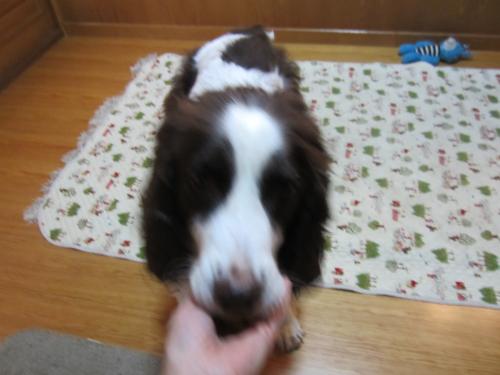 IMG_2028_convert_20121108101856.jpg