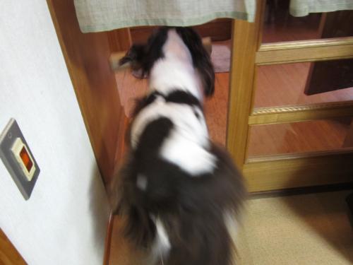 IMG_2338_convert_20121208100555.jpg
