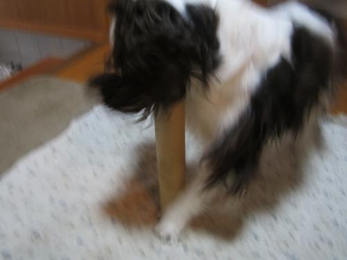 IMG_2340_convert_20121208101339.jpg