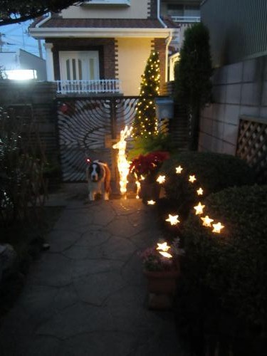 IMG_2474_convert_20121204132013.jpg