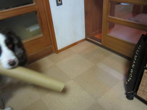 IMG_2500_convert_20121208094959.jpg