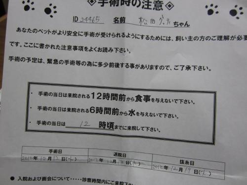 IMG_2525_convert_20121211224308.jpg