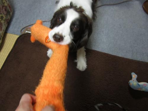 IMG_2673_convert_20130108134359.jpg