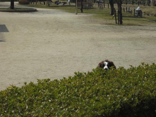 IMG_3949_convert_20130226132522.jpg