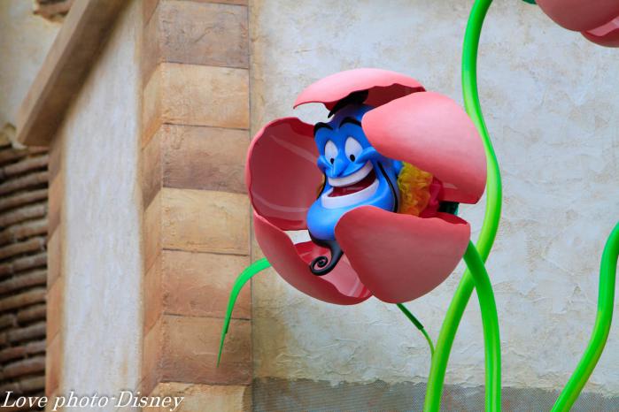 _MG_6602.jpg