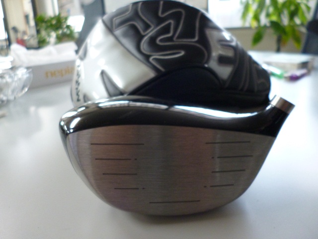 P1010481.jpg