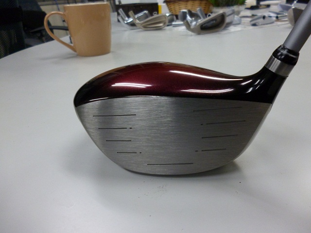 P1010543.jpg