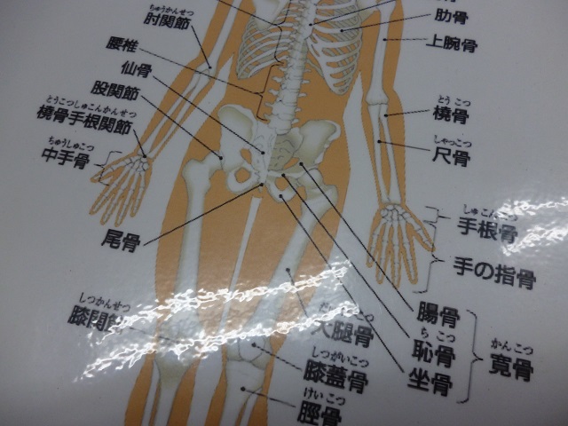 P1010899.jpg