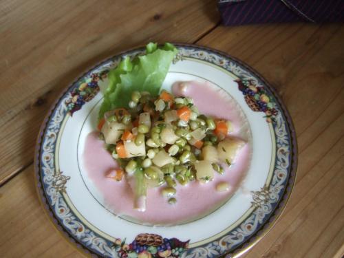 【縮小】緑豆サラダと梅酢ドレッシング