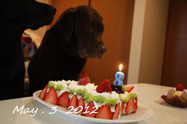 2012_05_03_1638.jpg