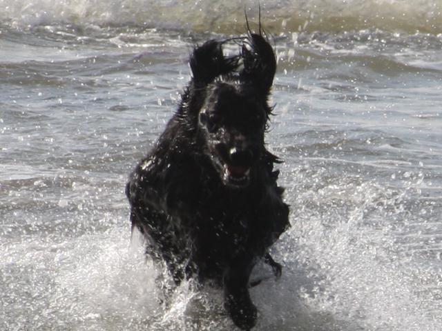 2012_10_13_2225.jpg