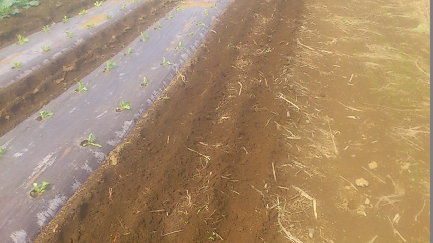mini_141010_1059.jpg