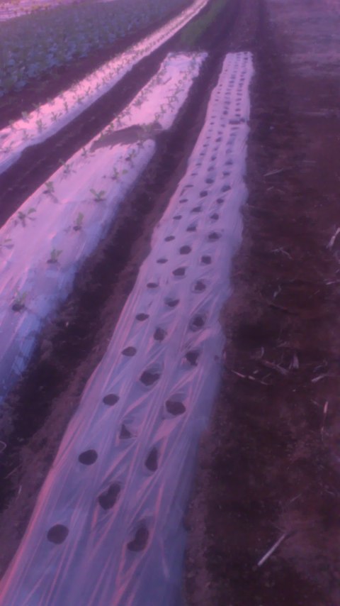mini_141010_17250001.jpg