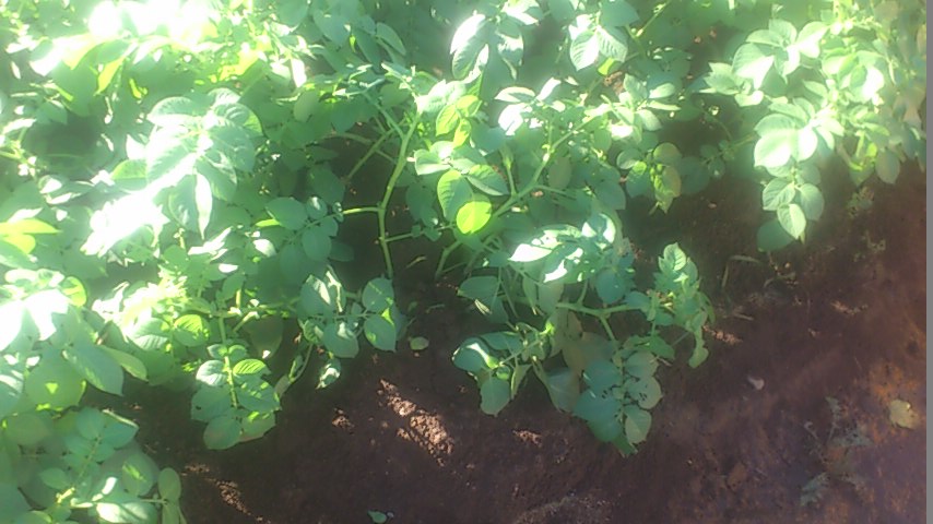 mini_141014_0759.jpg