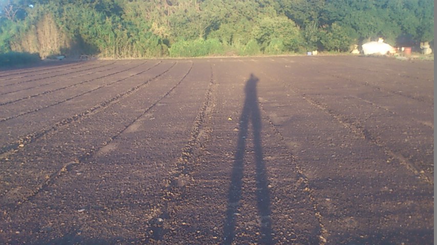 mini_141014_1641.jpg