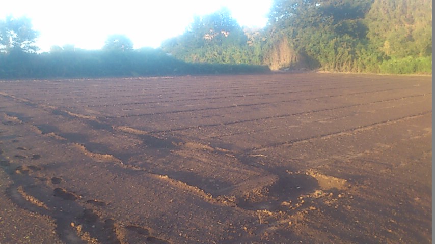mini_141014_16410001.jpg