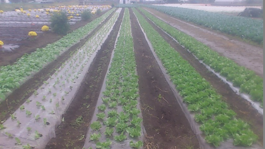mini_141015_1054.jpg