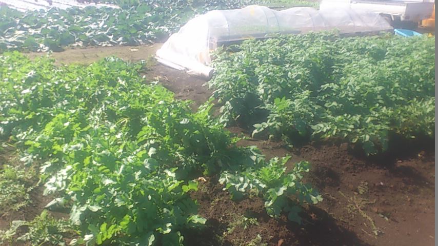 mini_141016_1306.jpg