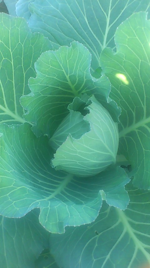 mini_141018_1255.jpg