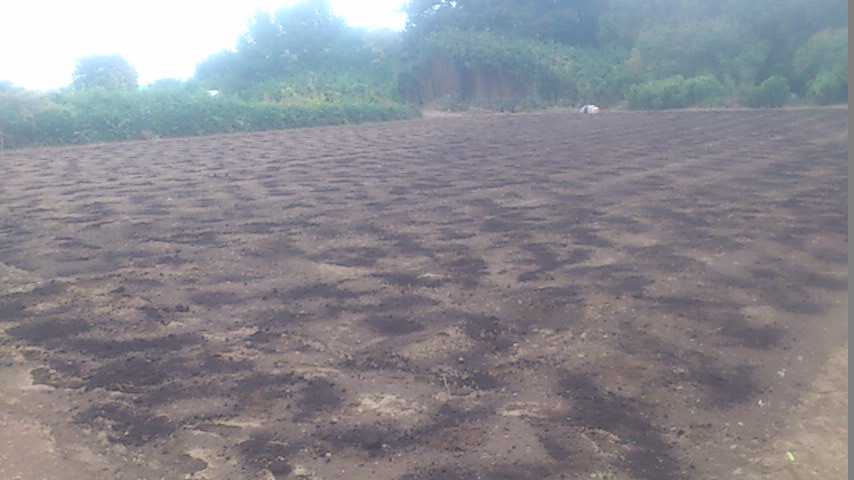mini_141020_1431.jpg