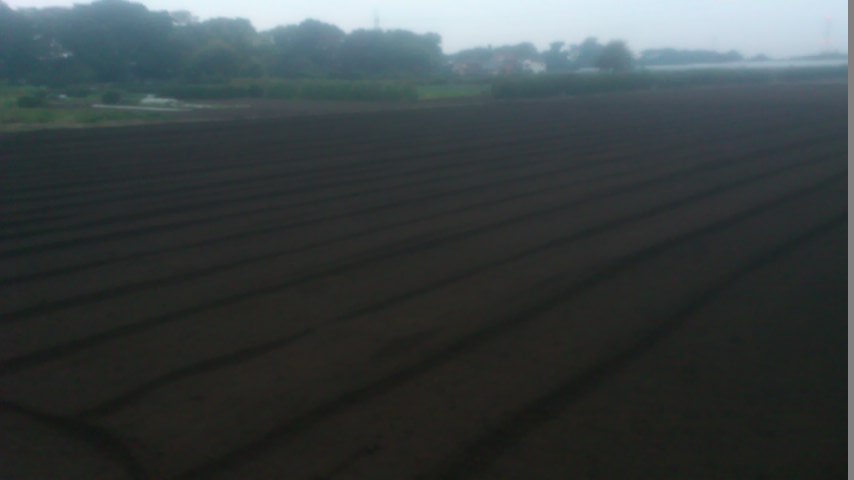 mini_141020_1704.jpg